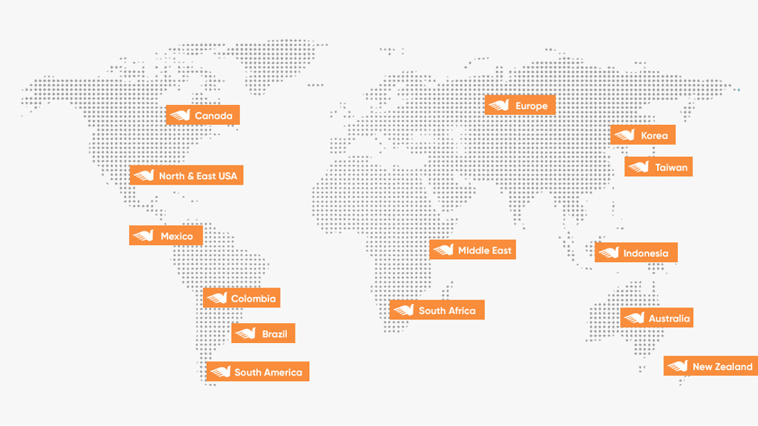Our Global Network