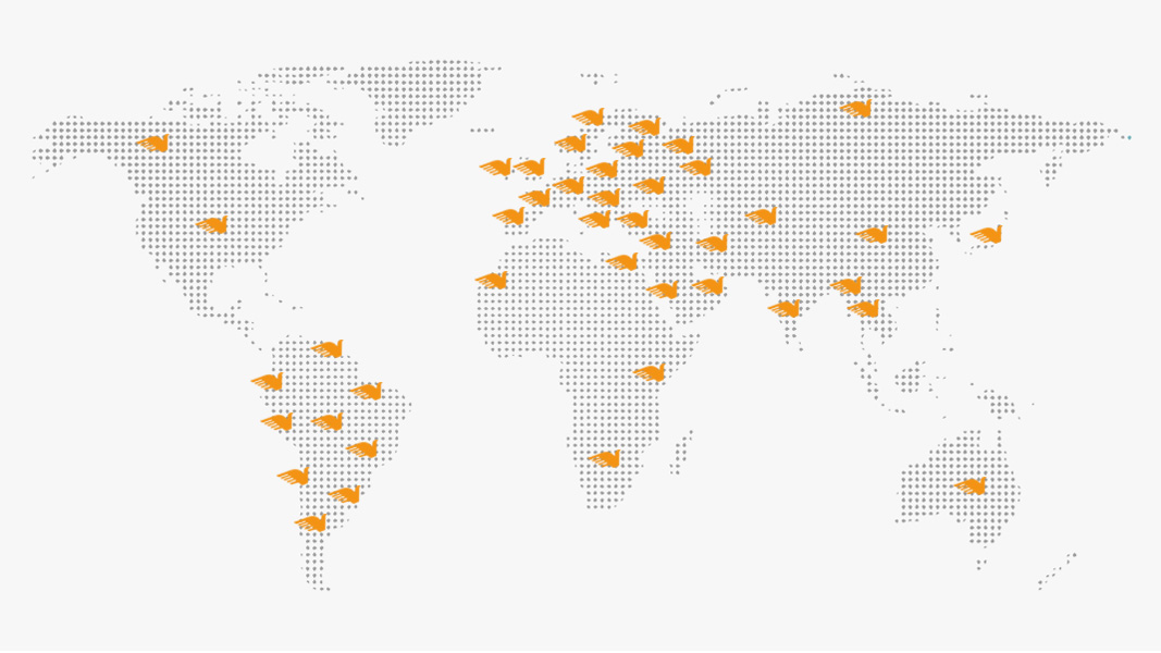 Our Global Network