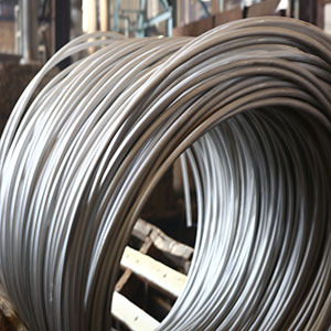Stainless Steel Wire Rods